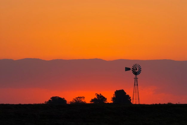 Moinho de vento na zona rural de pampas, província de La Pampa, Patagônia, Argentina.