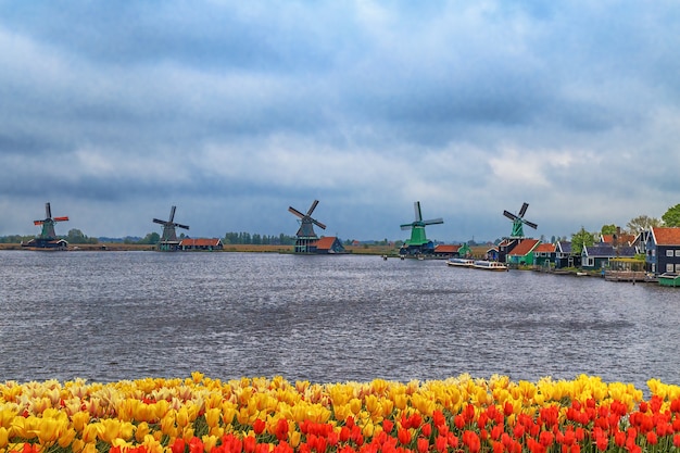 Foto moinhos de vento da vila tranquila de zaanse schans na holanda