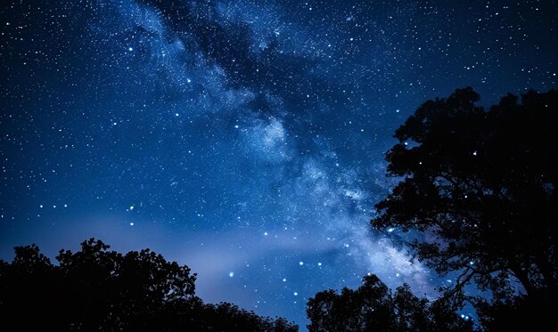 Nachthimmel mit Sternen und Silhouette von Bäumen Elemente dieses Bildes von der NASA