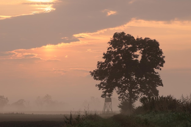 Nascer do sol sobre o campo Polônia