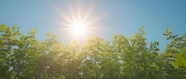 Foto novo fundo de céu claro de primavera com luz brilhante e quente