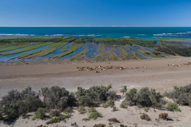 Paisagem costeira com falésias na Península Valdés Património Mundial Patagônia Argentina