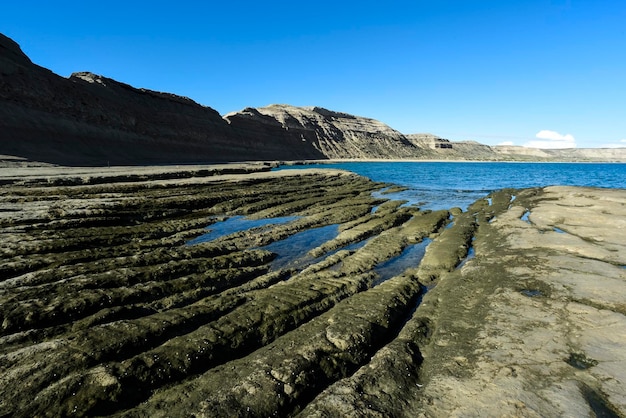 Paisagem costeira com falésias na Península Valdés Património Mundial Patagônia Argentina