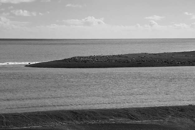 Paisagem da reserva natural de Caleta Valdés na Península Valdés, Património Mundial da Unesco, Patagônia Argentina