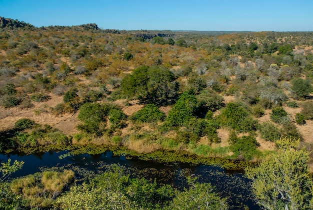 Paisagem de savana africana Parque Nacional Kruger África do Sul