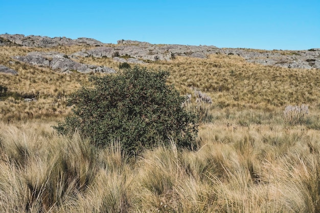 Paisagem do Parque Nacional Quebrada del CondoritoProvíncia de Córdoba, Argentina