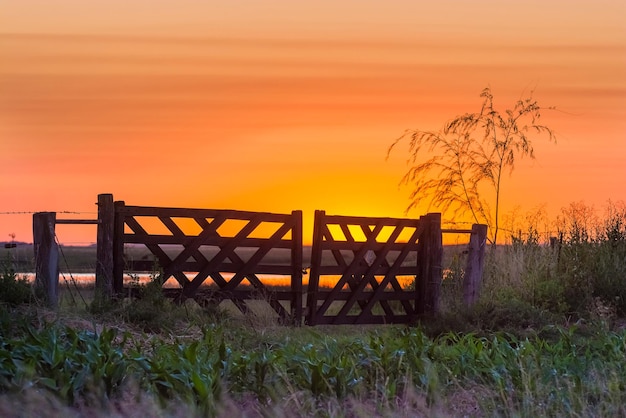 Paisagem do portão do campo de Pampas, província de La Pampa, Patagônia Argentina.