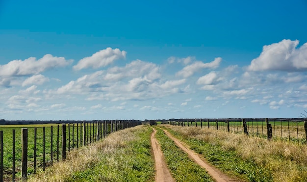 Paisagem dos pampas com céu nublado La Pampa Argentina