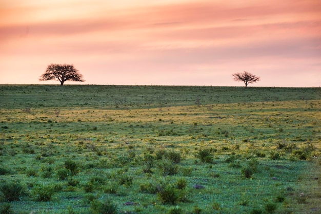 Paisagem rural La Pampa Argentina