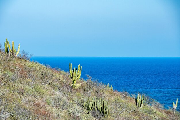 Foto panorama do parque nacional de cabo pulmo, na baixa califórnia