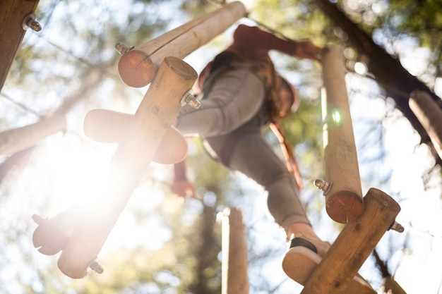 Parque de aventura de escalada nos Cárpatos na Romênia