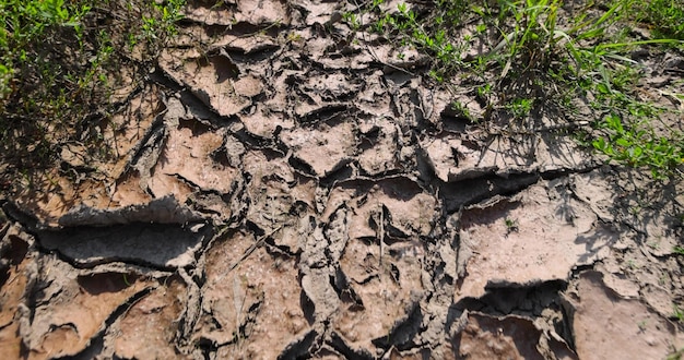 Foto parte de um campo coberta de rachaduras sem plantas durante a desidratação no calor