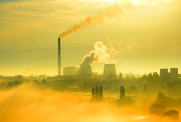 Pflanze mit Pfeifen und Rauch bei Sonnenuntergang