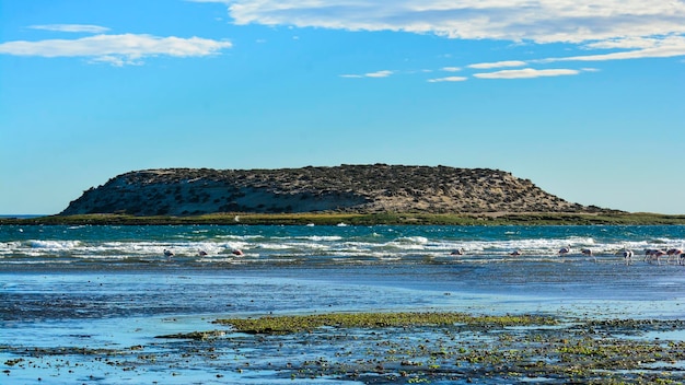 Praia de maré baixa Península Valdes Patagônia Argentina