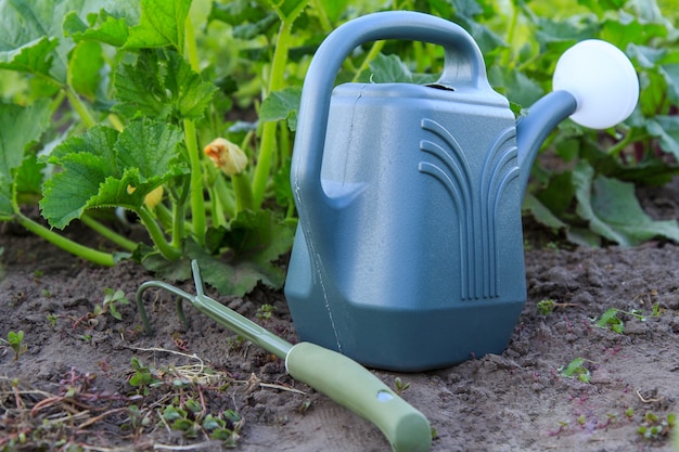 Regador e pequeno ancinho de jardim com arbusto de medula vegetal jovem crescendo no fundo. Foco seletivo no regador