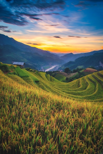 Reisfelder auf Terrassen mit Holzpavillon bei Sonnenuntergang in Mu Cang Chai YenBai Vietnam