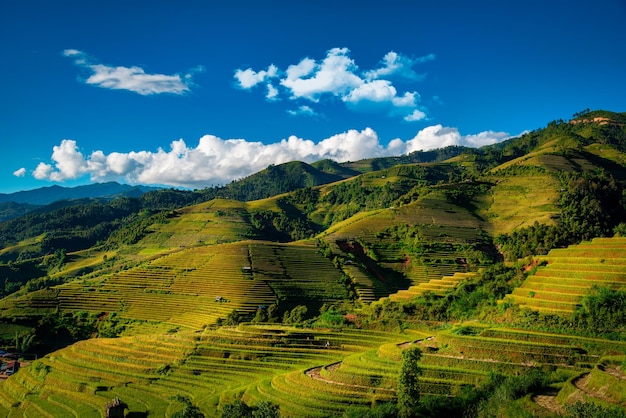 Reisfelder auf Terrassen mit Holzpavillon tagsüber in Mu Cang Chai YenBai Vietnam