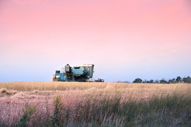 Retro Harvester arbeitet im Feld gegen