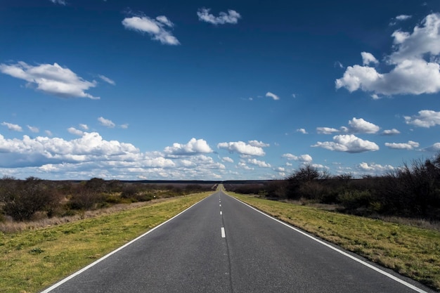 Rota na planície Pampa Patagônia Argentina