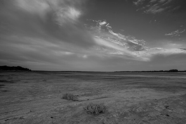 Salitre no fundo de uma lagoa em um ambiente semidesértico La Pampa província Patagônia Argentina