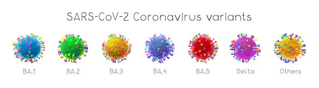 Foto sars-cov-2 covid-19 coronavirus omicron-varianten