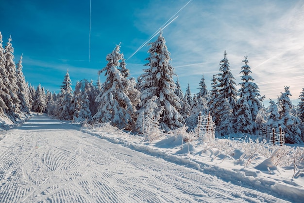 Foto schneebedecktes feld gegen den himmel