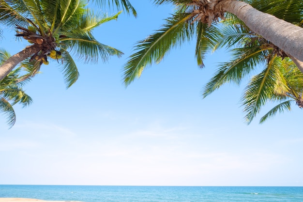 Schöne Landschaft der Kokospalme am tropischen Strand (Meerblick) im Sommer. Sommer Hintergrundkonzept.