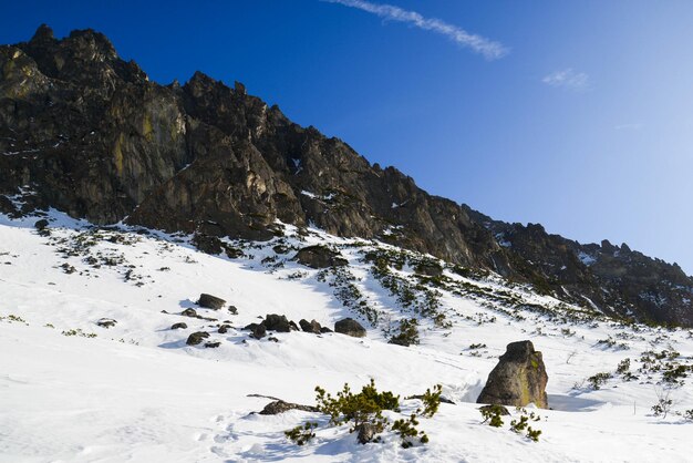 Schöne Landschaft mit großen felsigen Bergen im kleinen kalten Tal auf Wanderung in der Hohen Tatra, Slowakei.