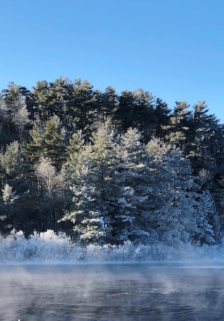 Foto schönes bild von schneebedecktem land vor klarem himmel