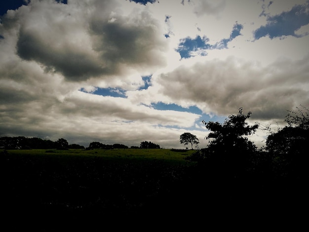 Foto silhuetas de árvores na paisagem contra o céu