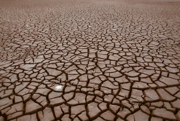 Foto solo quebrado no ambiente de pampas patagônia argentina