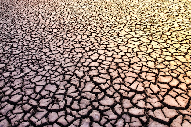 Foto solo quebrado no ambiente de pampas patagônia argentina