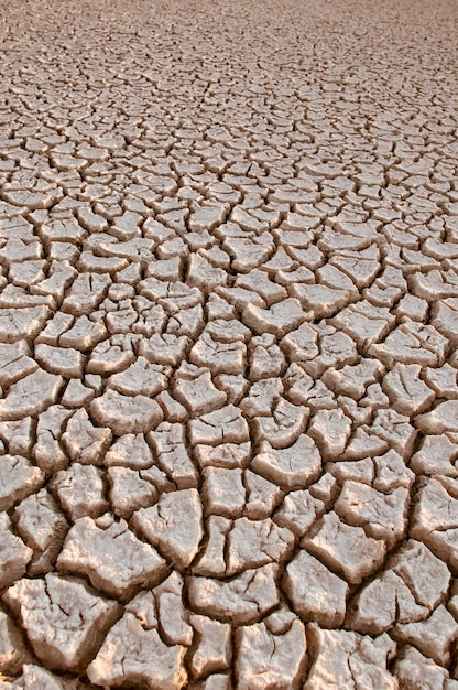 Foto solo quebrado no ambiente de pampas patagônia argentina