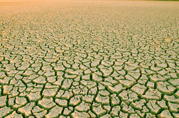 Foto solo quebrado no ambiente de pampas patagônia argentina