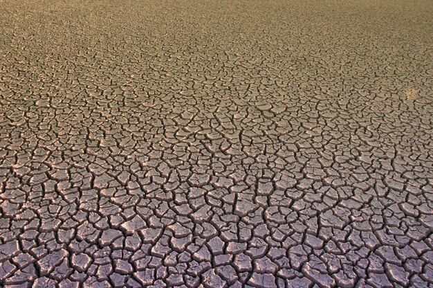 Foto solo quebrado no ambiente de pampas patagônia argentina