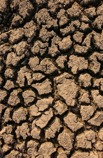 Solo seco e rachado causado pela seca na Paraíba, Brasil. Mudanças climáticas e crise hídrica.