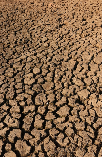 Solo seco e rachado causado pela seca na Paraíba, Brasil. Mudanças climáticas e crise hídrica.