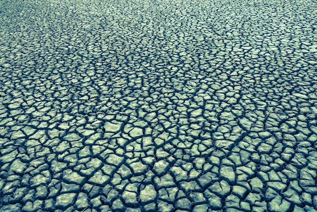 Solo seco no ambiente Pampa Patagônia Argentina