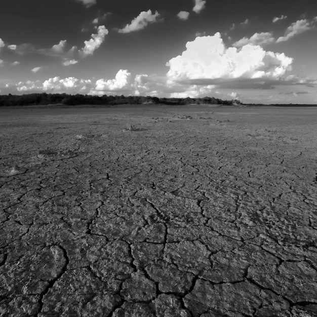 Solo seco quebrado em uma lagoa de Pampas La Pampa província Patagônia Argentina