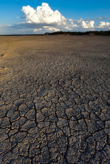 Solo seco quebrado em uma lagoa de Pampas La Pampa província Patagônia Argentina