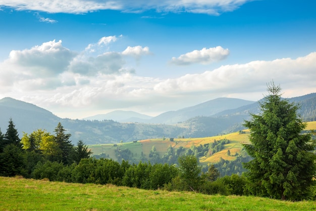 Sonniger Sommertag ist in der Berglandschaft Karpaten Ukraine Europa