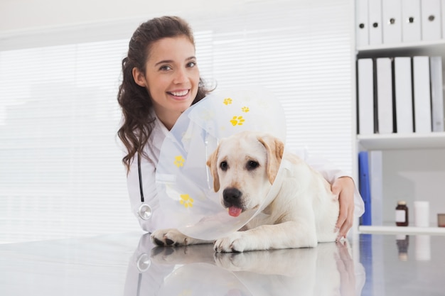 Foto sorriso veterinário e cão com um cone