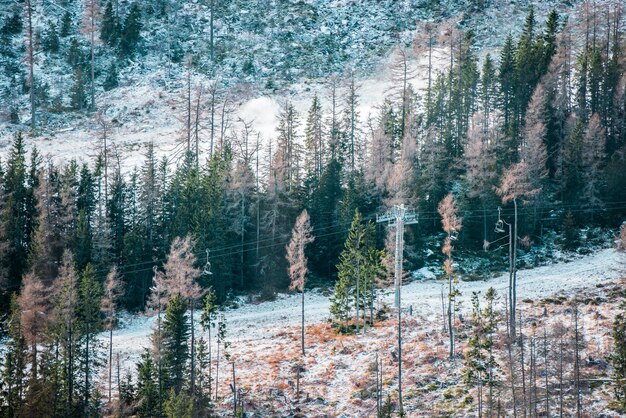 Strbske pleso (Skigebiet Strbske See im Winter mit Schneegebiet Hohe Tatra.