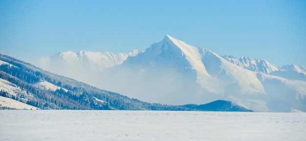 Symbol der Slowakei - Gipfel Krivan von Haj-Nicovo in der Nähe von Liptovsky Mikulas im Winter mit Schnee. Slowakisch