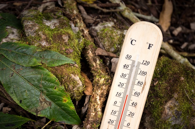 Termômetro com temperatura fria