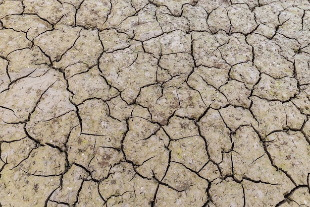 Textura de fundo de terra rachada