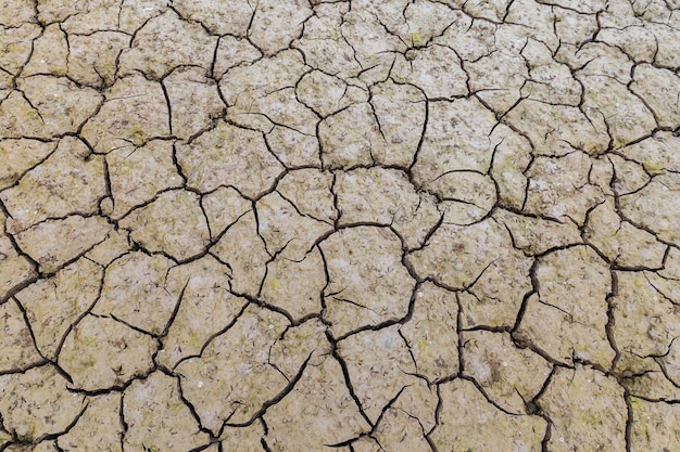 Textura de fundo de terra rachada