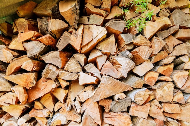 Foto toras picadas para fogo de inverno lenha picada