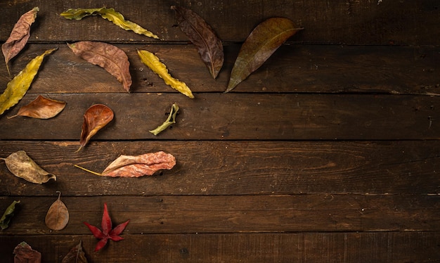 Trockene Herbstblätter liegen flach auf dunklem Hintergrund mit Kopierraum