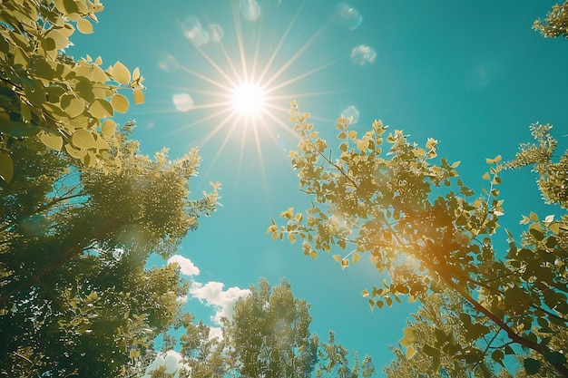 Foto um céu azul deslumbrante com uma lente de sol. céu claro, dia ensolarado, sol brilhante.